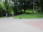 IMG_2446.JPG